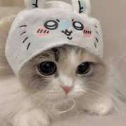 ヒメ日記 2025/09/09 20:00 投稿 ひかる 西川口マーメイド