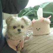 ヒメ日記 2025/04/25 09:12 投稿 ちずる FAIRY Fukuoka Nakasu