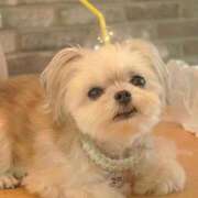 ヒメ日記 2025/09/29 05:20 投稿 ちずる FAIRY Fukuoka Nakasu