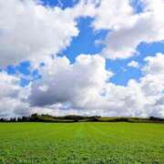 ヒメ日記 2025/10/07 05:20 投稿 ちずる FAIRY Fukuoka Nakasu