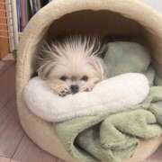 ヒメ日記 2025/11/08 06:10 投稿 ちずる FAIRY Fukuoka Nakasu