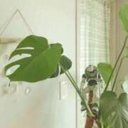 ヒメ日記 2025/12/07 06:00 投稿 ちずる FAIRY Fukuoka Nakasu