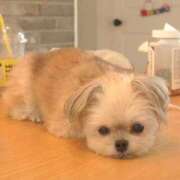 ヒメ日記 2025/12/14 04:50 投稿 ちずる FAIRY Fukuoka Nakasu