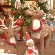 ヒメ日記 2025/12/25 07:00 投稿 ちずる FAIRY Fukuoka Nakasu