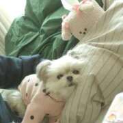 ヒメ日記 2025/12/29 05:41 投稿 ちずる FAIRY Fukuoka Nakasu