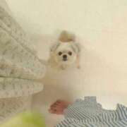 ヒメ日記 2026/01/09 22:29 投稿 ちずる FAIRY Fukuoka Nakasu