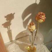 ヒメ日記 2026/01/10 05:50 投稿 ちずる FAIRY Fukuoka Nakasu