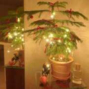 ヒメ日記 2026/01/23 06:10 投稿 ちずる FAIRY Fukuoka Nakasu