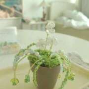 ヒメ日記 2026/01/30 13:20 投稿 ちずる FAIRY Fukuoka Nakasu