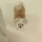 ヒメ日記 2026/02/05 22:34 投稿 ちずる FAIRY Fukuoka Nakasu