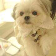 ヒメ日記 2026/02/27 06:00 投稿 ちずる FAIRY Fukuoka Nakasu