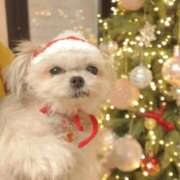 ヒメ日記 2026/02/27 16:20 投稿 ちずる FAIRY Fukuoka Nakasu