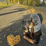 ヒメ日記 2026/04/09 07:23 投稿 ちずる FAIRY Fukuoka Nakasu