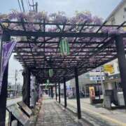 ヒメ日記 2025/04/18 21:05 投稿 星乃（ほしの） 熟女の風俗最終章 大宮店