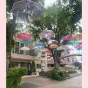 ヒメ日記 2025/06/08 13:25 投稿 星乃（ほしの） 熟女の風俗最終章 大宮店