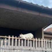 ヒメ日記 2025/06/17 21:56 投稿 星乃（ほしの） 熟女の風俗最終章 大宮店