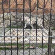 ヒメ日記 2025/08/02 20:45 投稿 星乃（ほしの） 熟女の風俗最終章 大宮店