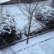 ヒメ日記 2026/02/08 07:25 投稿 星乃（ほしの） 熟女の風俗最終章 大宮店