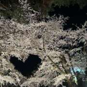 ヒメ日記 2025/12/03 16:26 投稿 りん 恋する人妻