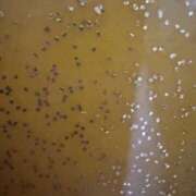 ヒメ日記 2025/02/12 13:01 投稿 レイナ 横浜ハッピーマットパラダイス