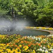 ヒメ日記 2025/05/05 17:54 投稿 蜜莉 東京人妻フォーシーズンズ