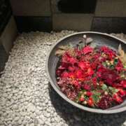 ヒメ日記 2026/02/20 13:54 投稿 蜜莉 東京人妻フォーシーズンズ