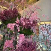 ヒメ日記 2026/03/13 23:24 投稿 蜜莉 東京人妻フォーシーズンズ