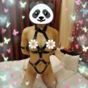 ヒメ日記 2025/08/12 23:39 投稿 滝藤　葉月 モデルコレクション 五反田店