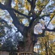 ヒメ日記 2025/01/02 08:52 投稿 ふうか(昭和51年生まれ) 熟年カップル名古屋～生電話からの営み～