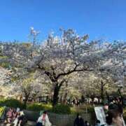 ヒメ日記 2026/04/03 20:12 投稿 若槻 倶楽部 月兎