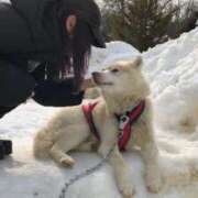 ヒメ日記 2025/01/14 22:04 投稿 るる（もち肌・巨乳・パイズリ） ソープランド ラ・メイド neo
