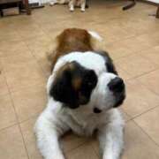 ヒメ日記 2025/06/23 11:34 投稿 るる（もち肌・巨乳・パイズリ） ソープランド ラ・メイド neo