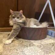 ヒメ日記 2025/09/18 08:05 投稿 るる（もち肌・巨乳・パイズリ） ソープランド ラ・メイド neo