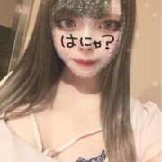 ヒメ日記 2026/06/19 07:44 投稿 るる（もち肌・巨乳・パイズリ） ソープランド ラ・メイド neo