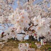 ヒメ日記 2025/03/14 17:00 投稿 まいか Arrest（アレスト）