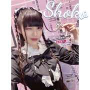 ヒメ日記 2025/12/15 01:18 投稿 しょうこ SCREEN(スクリーン)