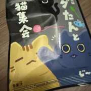 ヒメ日記 2026/02/25 07:01 投稿 レイ マテリアル