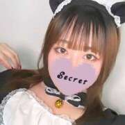 ヒメ日記 2025/04/08 18:24 投稿 みやび 奥様特急　上野・鶯谷店