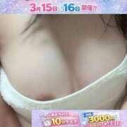 ヒメ日記 2026/03/11 13:20 投稿 さつき プラチナ