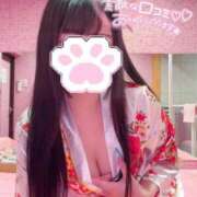 ヒメ日記 2025/07/13 11:30 投稿 おりひめ チューリップ福井本館