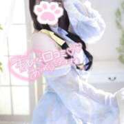 ヒメ日記 2025/07/14 15:34 投稿 おりひめ チューリップ福井本館