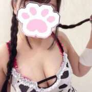 ヒメ日記 2025/10/04 08:54 投稿 おりひめ チューリップ福井本館