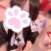 ヒメ日記 2025/10/27 16:34 投稿 おりひめ チューリップ福井本館