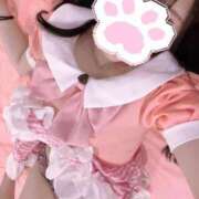 ヒメ日記 2025/08/04 08:04 投稿 おりひめ チューリップ福井別館