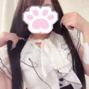 ヒメ日記 2025/10/06 08:38 投稿 おりひめ チューリップ福井別館