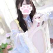 ヒメ日記 2025/10/31 07:54 投稿 おりひめ チューリップ福井別館