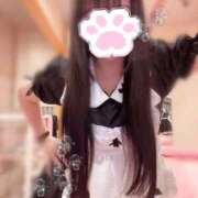 ヒメ日記 2025/11/01 22:24 投稿 おりひめ チューリップ福井別館