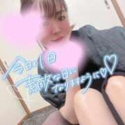 ヒメ日記 2026/08/15 09:09 投稿 きぬ奥様 金沢の20代30代40代50代が集う人妻倶楽部