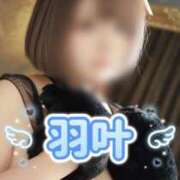 ヒメ日記 2025/04/06 14:14 投稿 羽叶（うか） 元祖神戸Ｍ性感～Ｍ・ｉｎｇ～