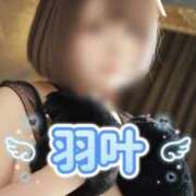 ヒメ日記 2025/11/14 17:11 投稿 羽叶（うか） 元祖神戸Ｍ性感～Ｍ・ｉｎｇ～